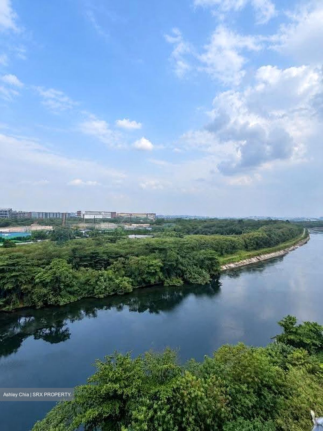 Kingsford Waterbay (D19), Apartment #615954141